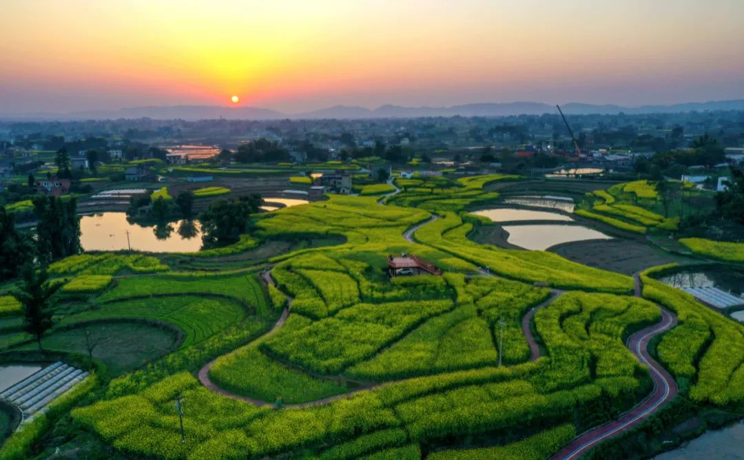 余欣榮:讓綠色發展成為全面推進鄉村振興新引擎