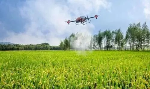 農業農村部信息中心主任王小兵:農產品電商發展迅速 農村數字治理機制正在形成