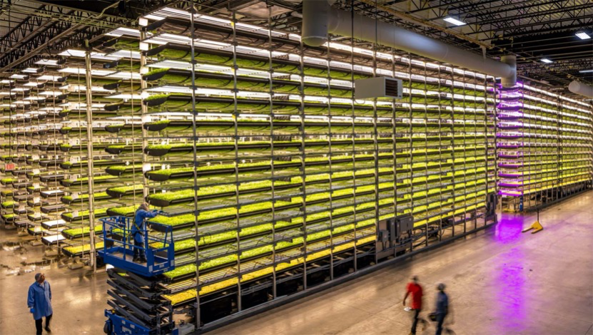 垂直農業,一個可持續的未來?