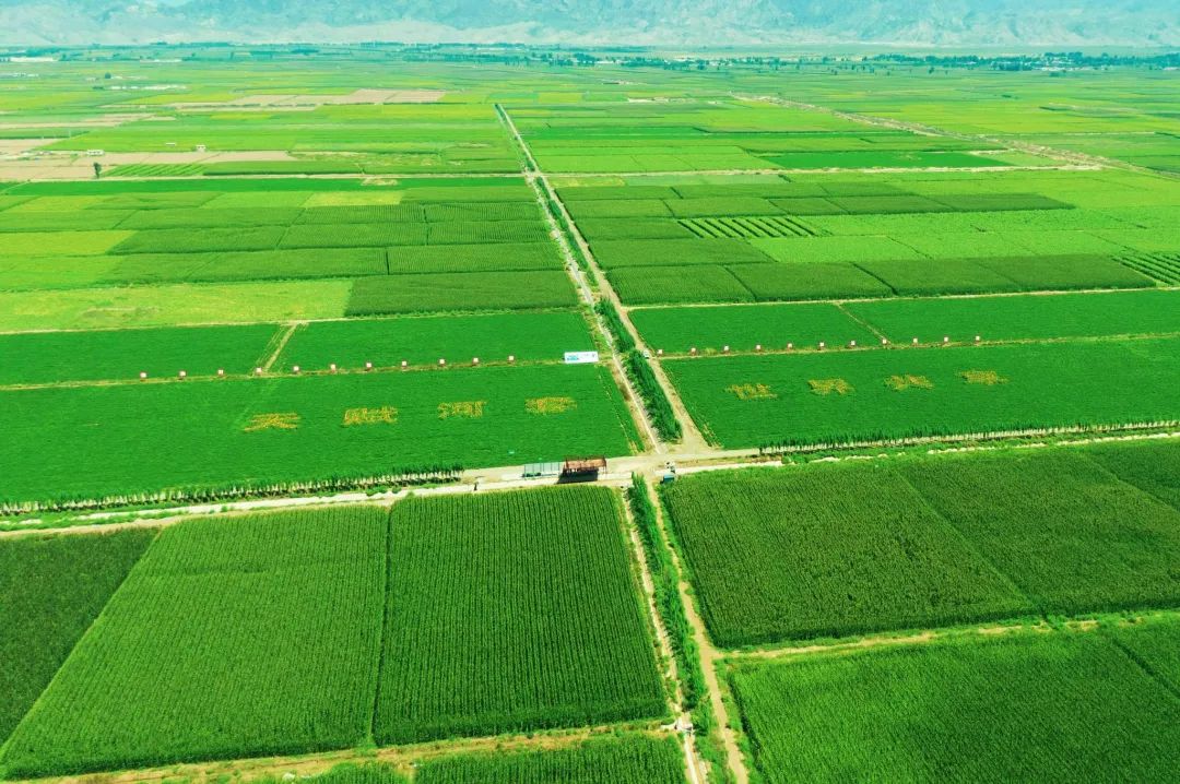 《高標準農田建設通則》國家標準發(fā)布