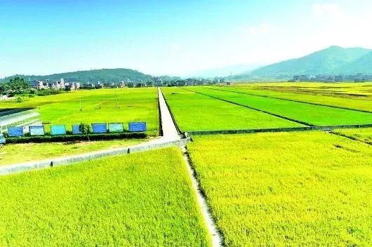 《高標準農田建設通則》國家標準發(fā)布