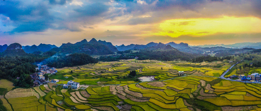 【縣域農(nóng)業(yè)】縣域是未來(lái)農(nóng)業(yè)品牌建設(shè)的主戰(zhàn)場(chǎng)！