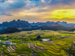 【縣域農(nóng)業(yè)】縣域是未來農(nóng)業(yè)品牌建設的主戰(zhàn)場!