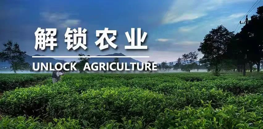《2022農業(yè)農村產業(yè)發(fā)展重大技術需求》發(fā)布 《2022農業(yè)農村產業(yè)發(fā)展重大技術需求》發(fā)布
