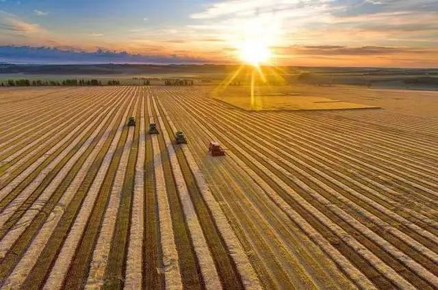 陳文勝：中國(guó)農(nóng)業(yè)現(xiàn)代化的基本趨勢(shì)與未來任務(wù)