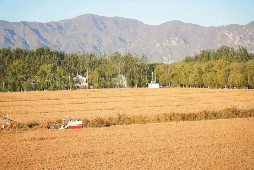 科技改變世界！智能農機助力中國！