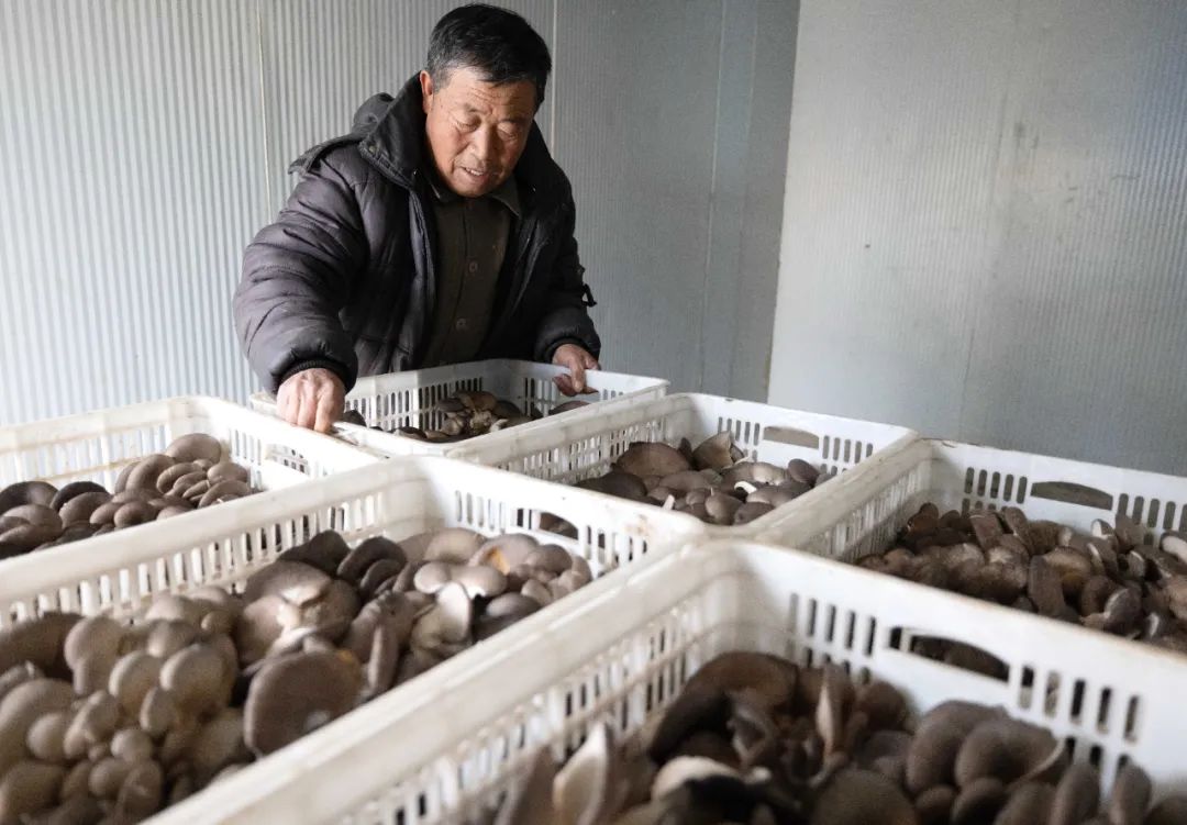 現(xiàn)代農(nóng)業(yè)產(chǎn)業(yè)園，如何撬動(dòng)3800多億元社會(huì)投資？