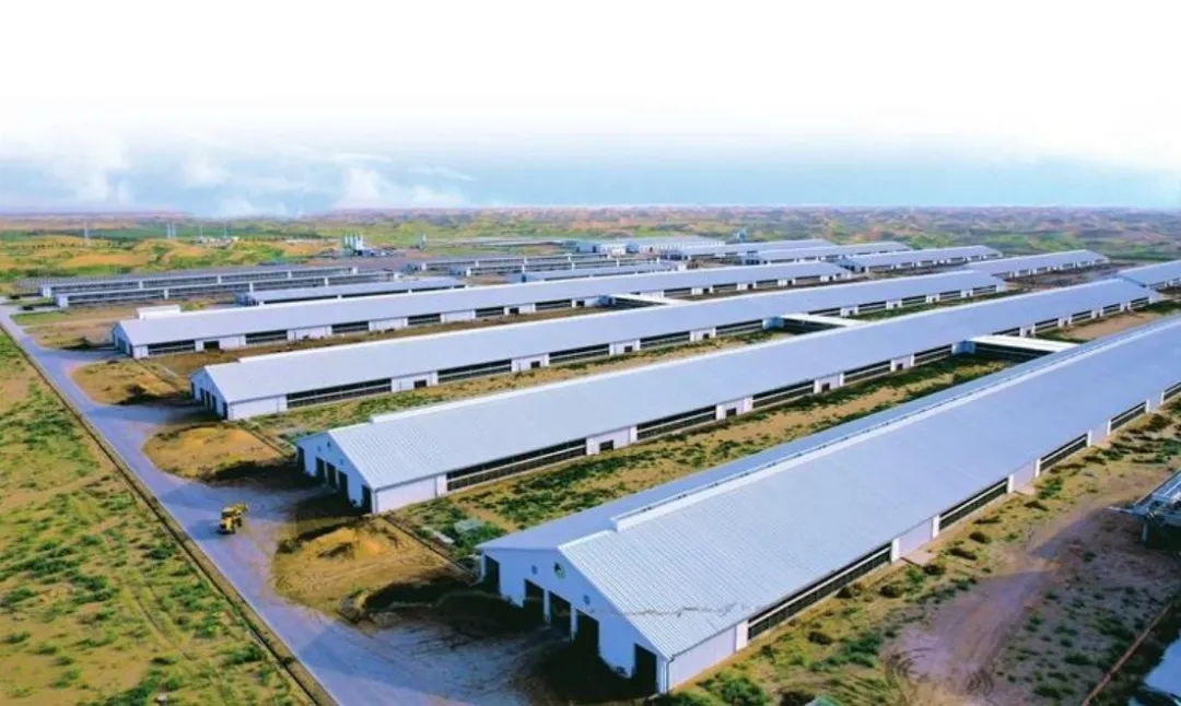 【鄉村振興】產業集群如何助推鄉村振興 【鄉村振興】產業集群如何助推鄉村振興