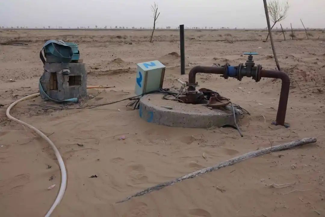 陜西榆林：6000余畝高標準農田，緣何撂荒7年？