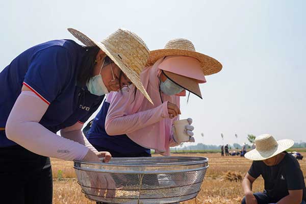 耕好“無形糧田”——從夏糧主產區看“全鏈條節糧減損”路徑