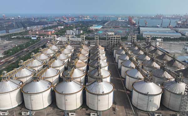 耕好“無形糧田”——從夏糧主產區看“全鏈條節糧減損”路徑