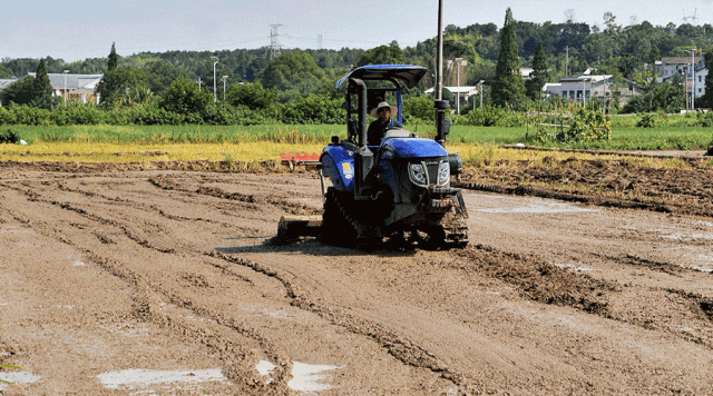 濰柴雷沃以科技守望稻香中國(guó)